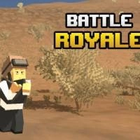 battle_royale 游戏