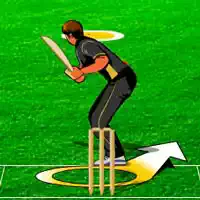 Cricket Spil Spil