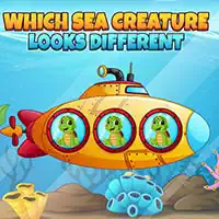 which_sea_creature_looks_different Ігри