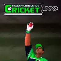 Gra Cricket Fielder Challenge