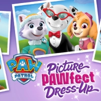 Paw पेट्रोल: पिक्चर Pawfect ड्रेस-अप